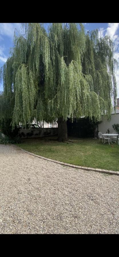 Gite Des Colverts Lailly-en-Val 외부 사진